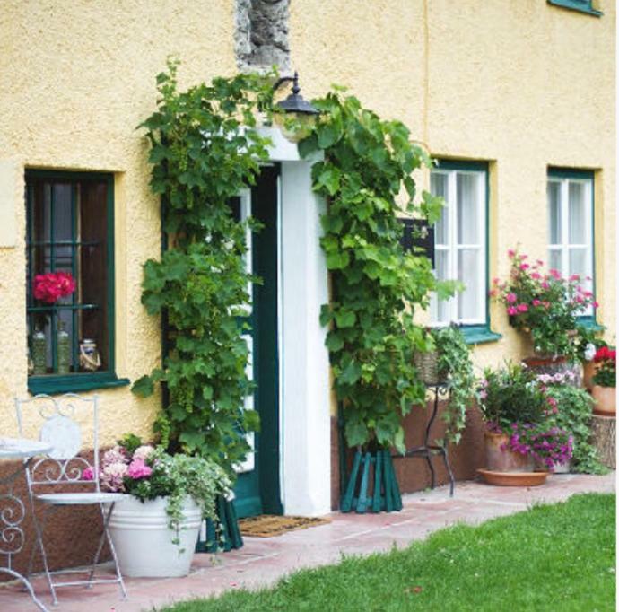 Ferienwohnung Alpenblick Kuchl Exterior foto